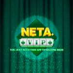 NETA VIP Apk