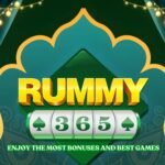 Rummy 365 apk