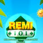 Remi 101