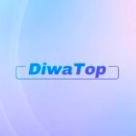 Diwa top
